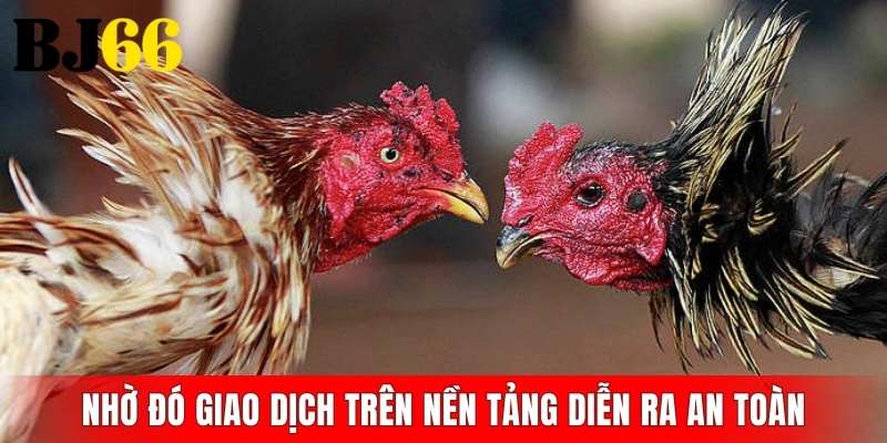 Nhờ đó giao dịch trên nền tảng diễn ra an toàn