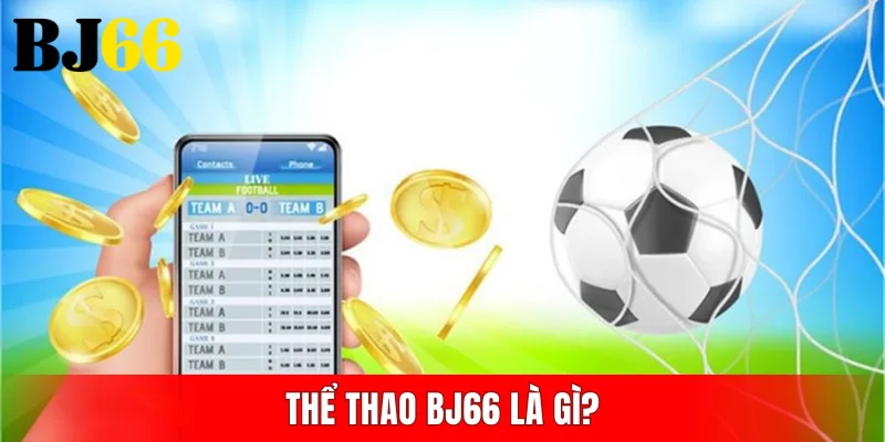 Thể thao BJ66 là gì?